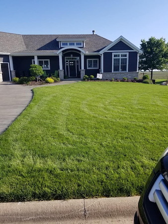 What Is the Best Grass Height to Keep Your Lawn Healthy Year-Round?