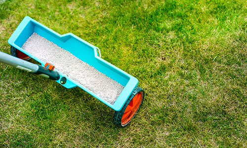 Fertilizer Mistakes That Burn Central Illinois Lawns (and How We Prevent Them)