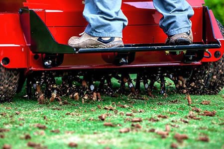 Lawn Aeration