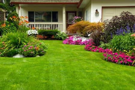 Lawn Maintenance Programs